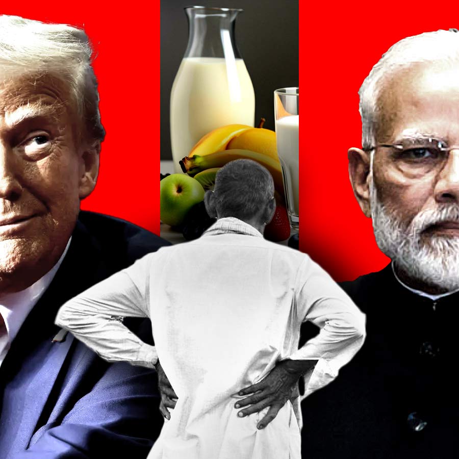 India US interim trade deal impact on agriculture, dairy and other sectors