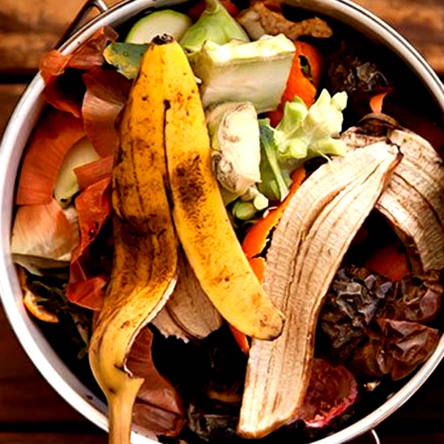 How to make compost in monsoon, know the tips dgtl