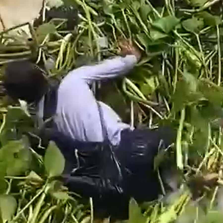 Student swept away in Farakka rescued dgtld