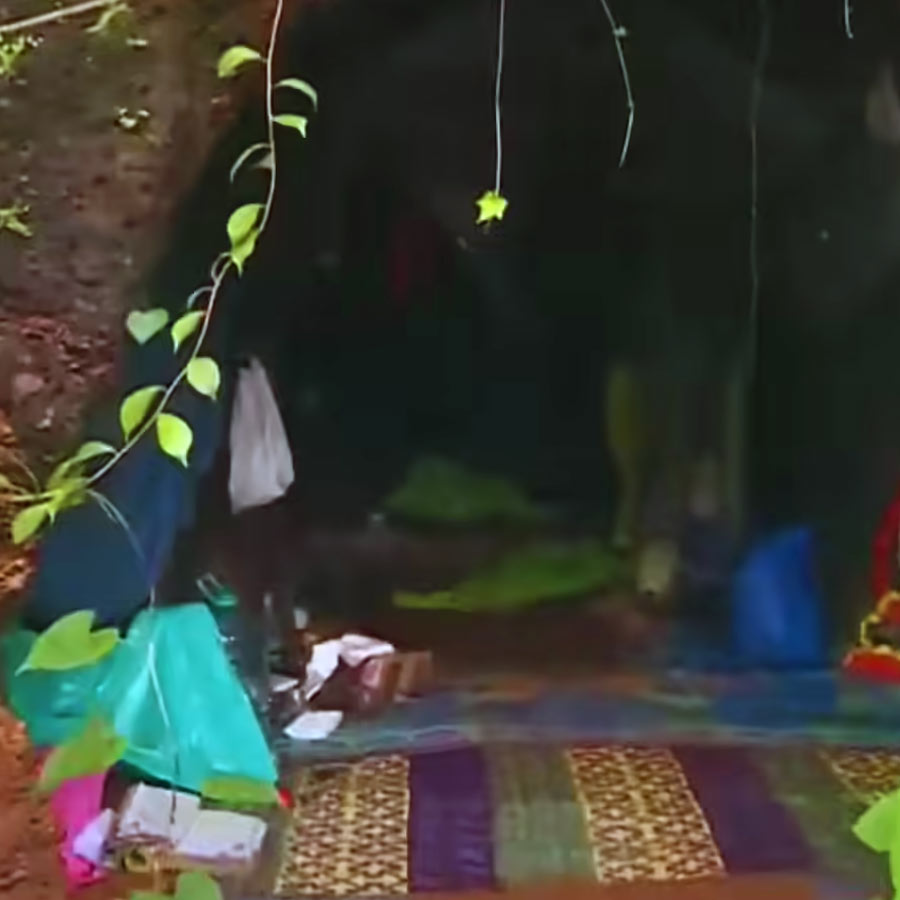 নিনার পাসপোর্ট ও ভিসা দেখে জানা গিয়েছে, ২০১৭ সালে ব্যবসায়িক ভিসায় ভারতে এসেছিলেন নিনা। ২০১৮ সালে ভিসার মেয়াদ শেষ হয়ে যাওয়ার পর নিনারা সেখান থেকে নেপাল চলে যান। এর পর ওই বছরই সেপ্টেম্বর মাসে পুনরায় ভারতে আসেন।