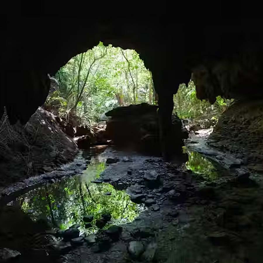শুধুমাত্র নিরিবিলিতে ধ্যান ও পূজার্চনার জন্য গুহাতেই বসবাস করার সিদ্ধান্ত নিয়েছিলেন নিনা, এমনটা নয়। শুধু আধ্যাত্মিকতা নয়, বরং প্রকৃতিকে ভালবেসেই তিনি এই কাজ করেছেন বলে জানান নিনা। তিনি মনে করেন, প্রকৃতির মাঝে বাস করা স্বাস্থ্যকর, বাড়িতে সেই সুযোগ পাওয়া যায় না।