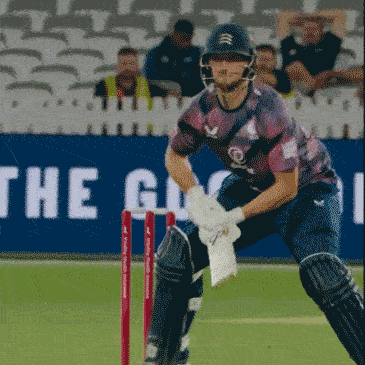 picture of cricket