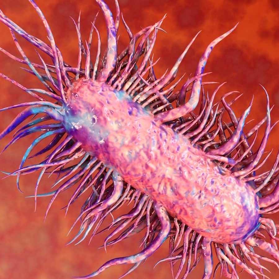 Flesh eating Bacteria spreading in Florida, kills 4, How to stay safe
