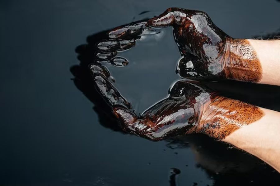 Crude oil price would hit 120 dollar per barrel, but India stabilized the cost by purchasing it from Russia