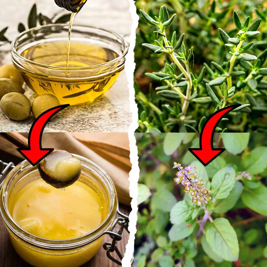 The Indian Adapted Mediterranean Diet uses local ingredients to mimic heart benefits dgtl