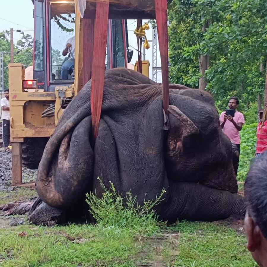 Three elephants died after express train run over them in Jhargram dgtld