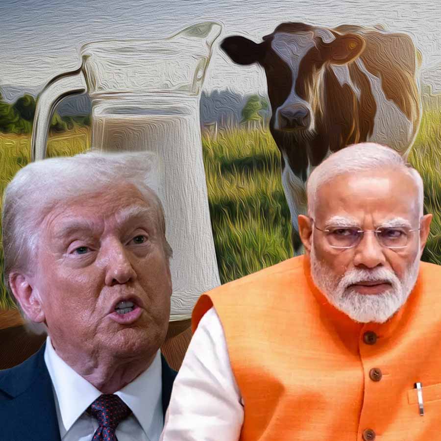 This is why 'Non-Veg Milk' is becoming a trade barrier for India and US dgtl