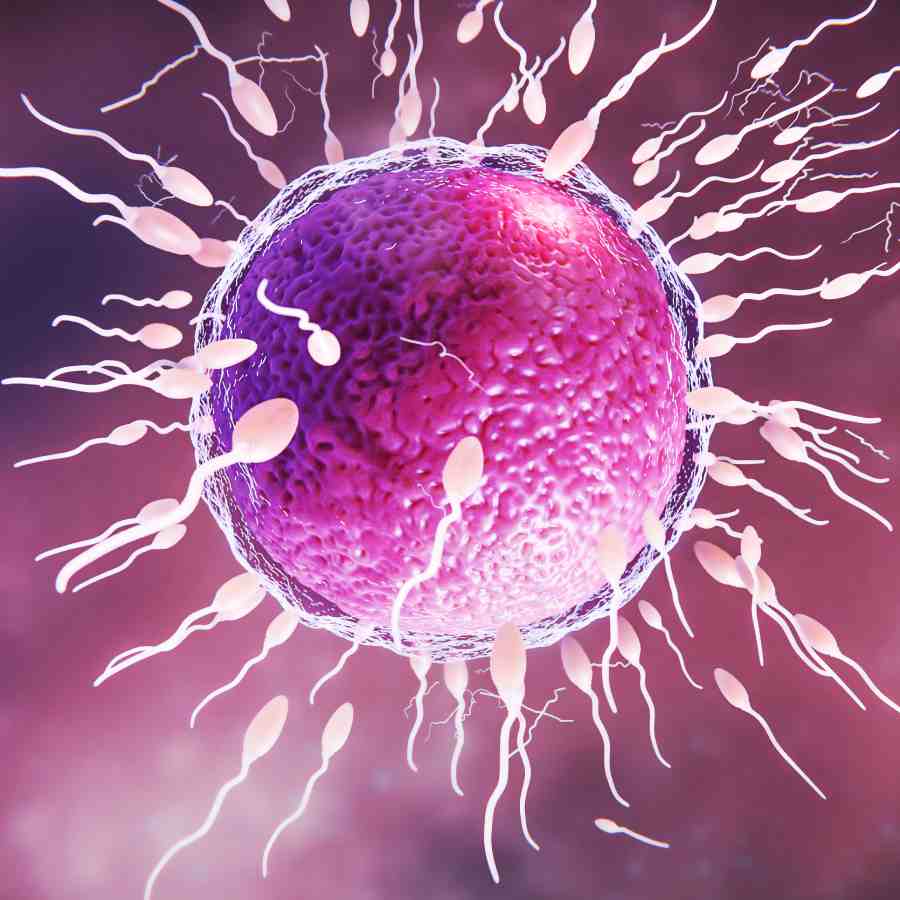 Commonly present in non-stick cookware, PTFE found in Eggs and Sperms