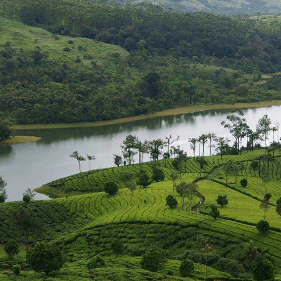 South India would be world’s next manufacturing hub defeating China, know the reasons