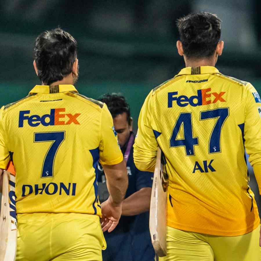 cricket