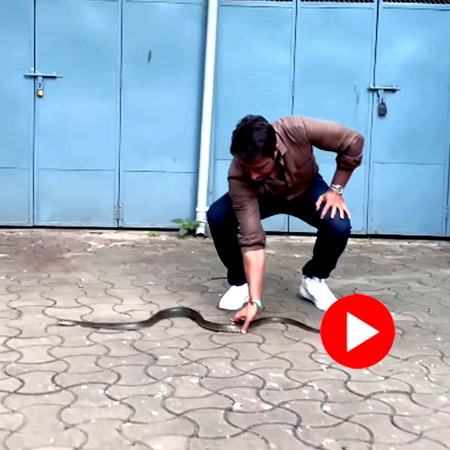 Video of bollywood actor and philanthropist Sonu Sood catching snakes with bare hands goes viral dgtl