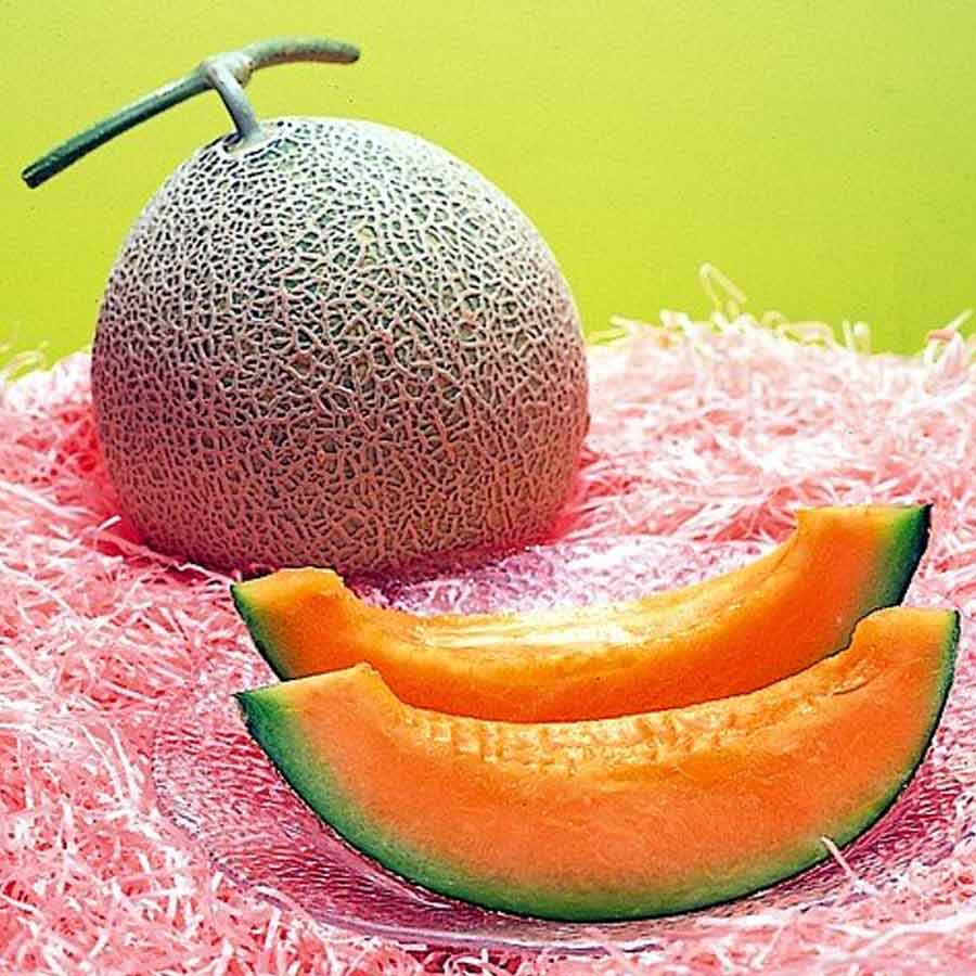 16 most expensive food of world 