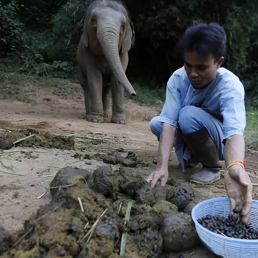 16 most expensive food of world 