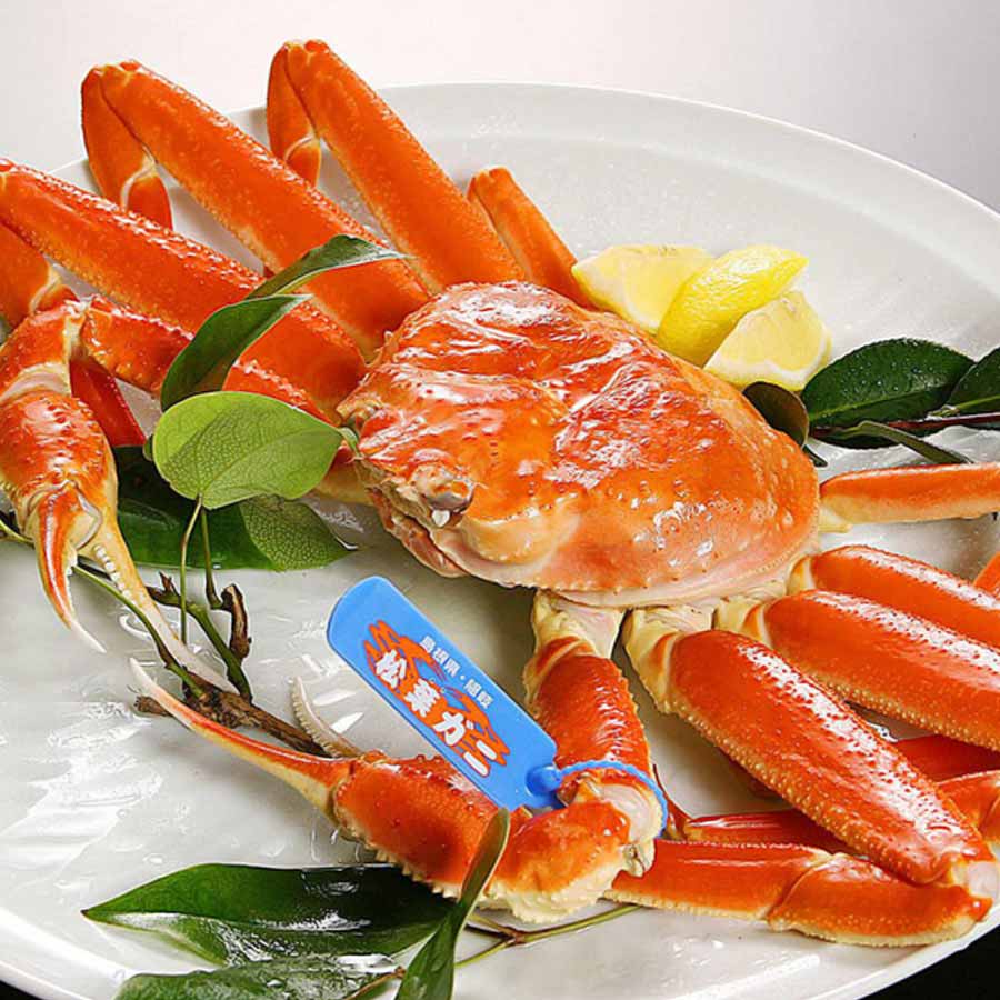 16 most expensive food of world 