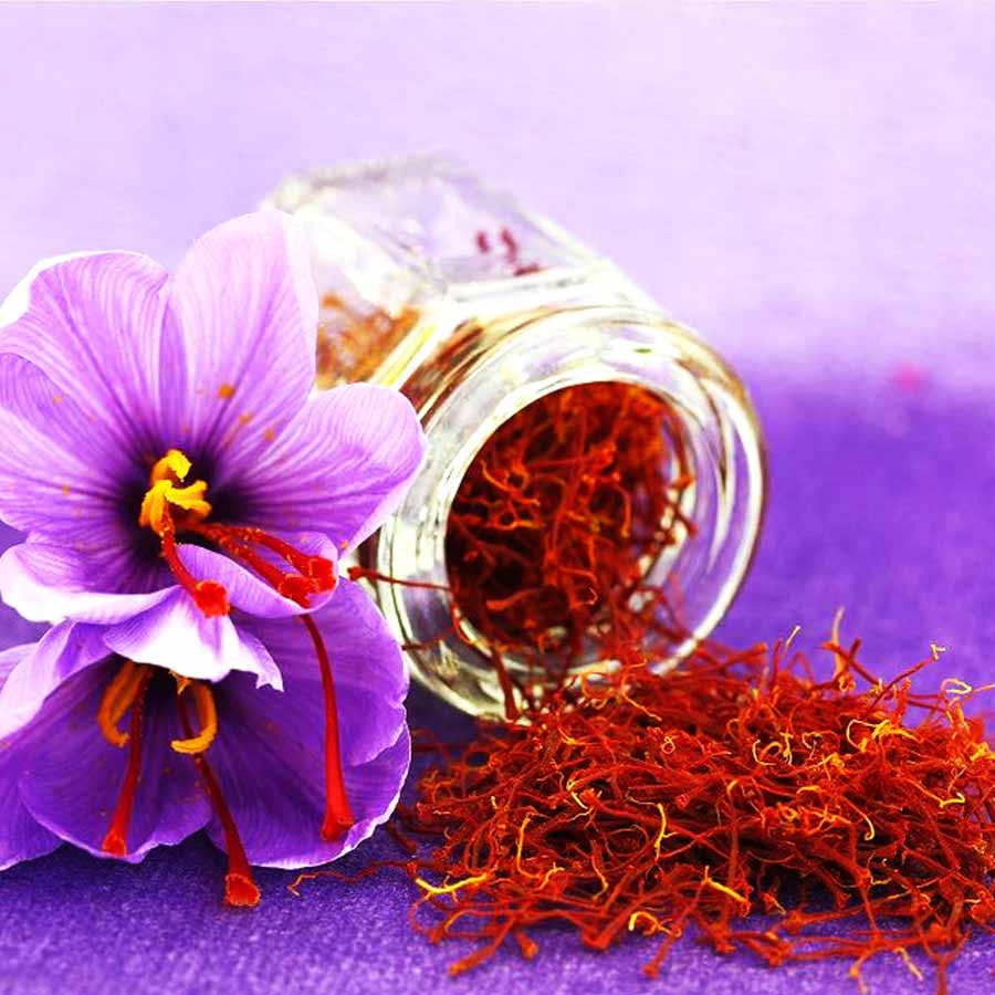 16 most expensive food of world 