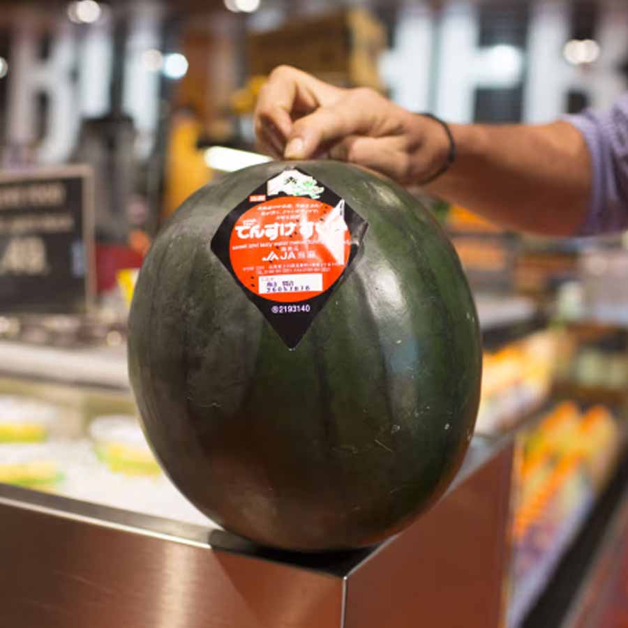 16 most expensive food of world 