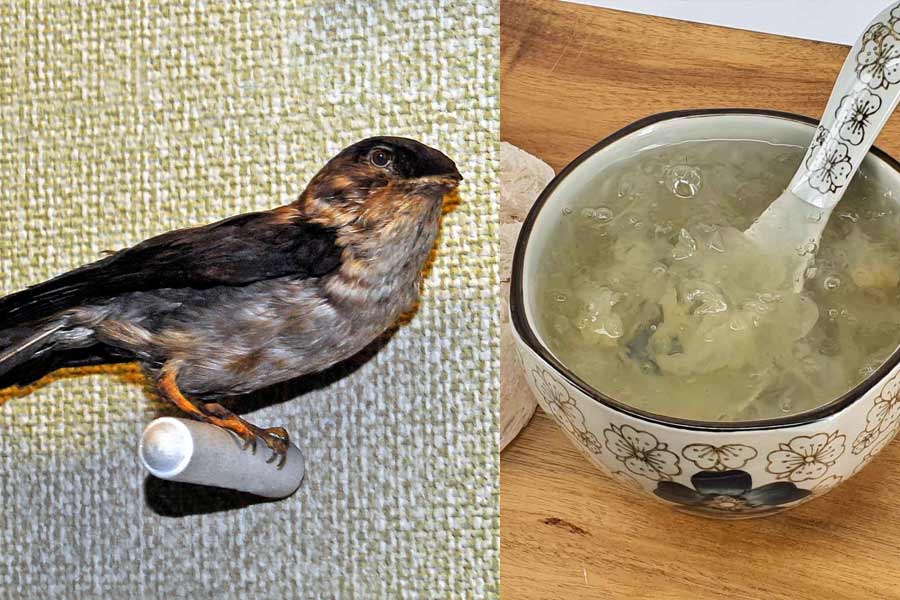 16 most expensive food of world 