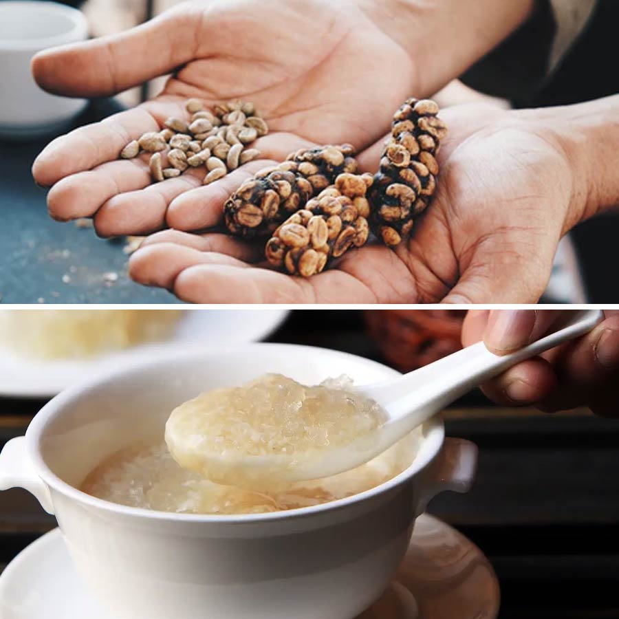 16 most expensive food of world