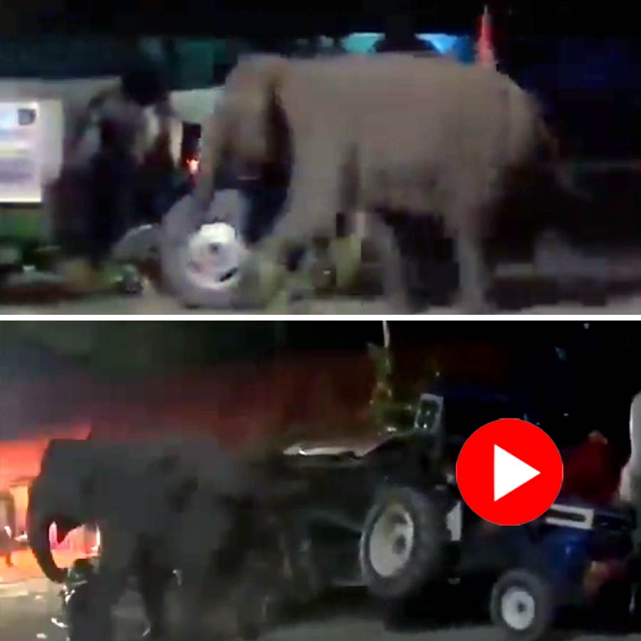 Video of elephant disrupting procession of Kanwar yatra in Dehradun goes viral dgtl