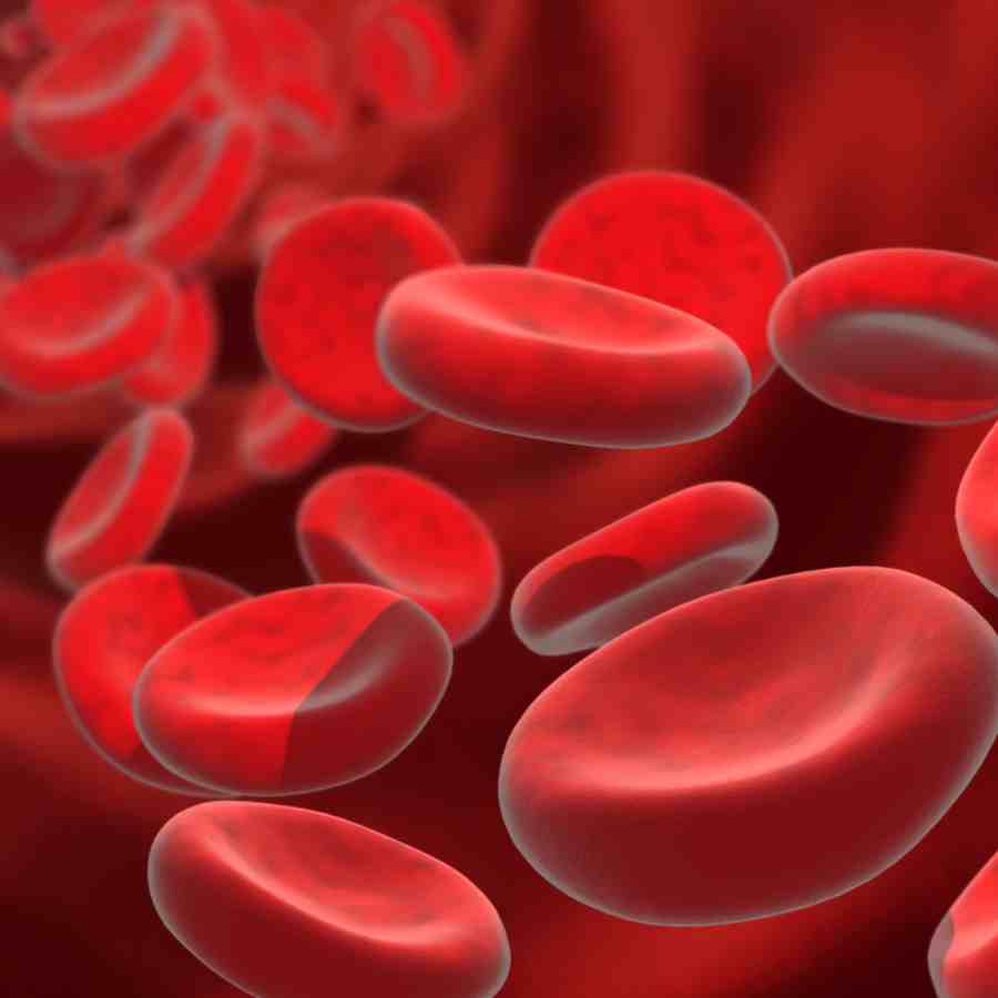 How to Increase Haemoglobin Naturally with Nutrient-Rich foods dgtl