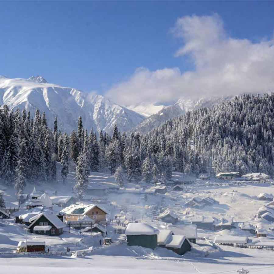 Martyrs can be based on ideology, political approach, or even country or group