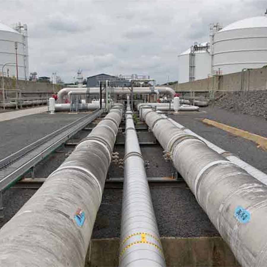 Government is desperate to reduce import dependence on PNG