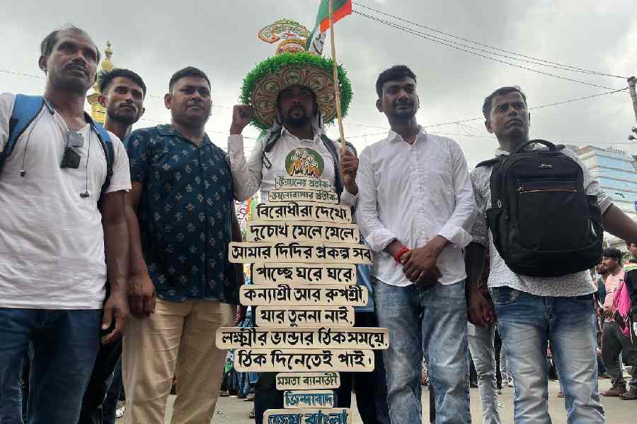 অভিনব স্লোগানে সেজেছেন তৃণমূল সমর্থক।