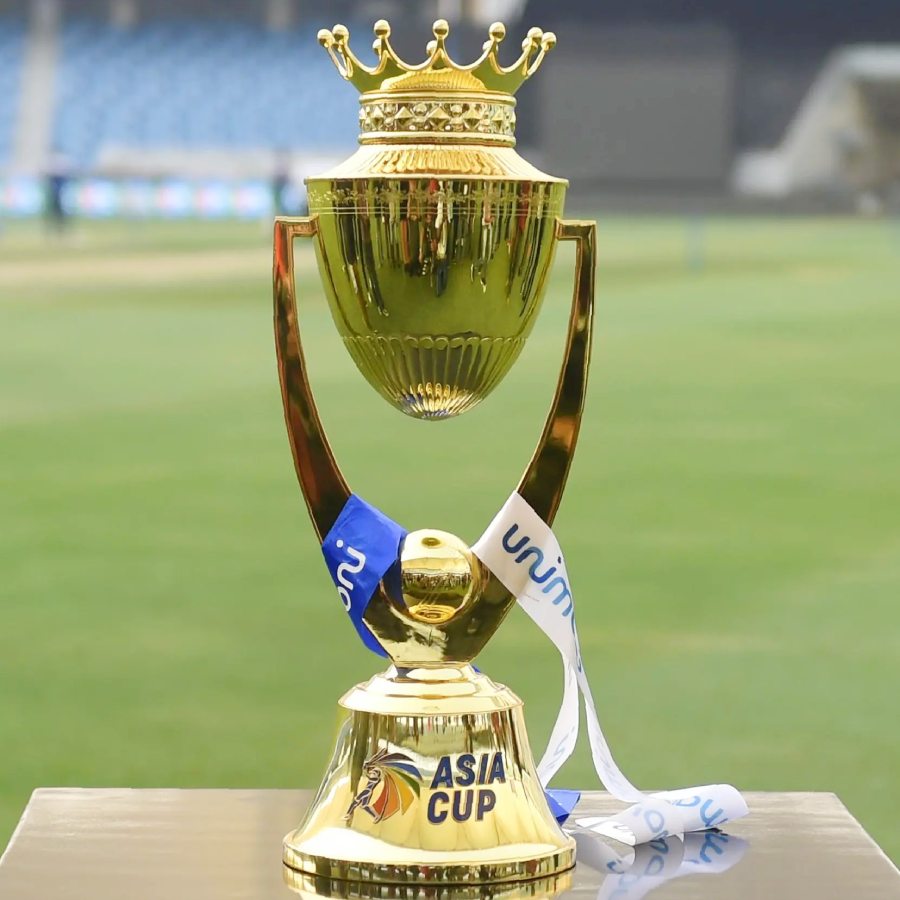 picture of cricket
