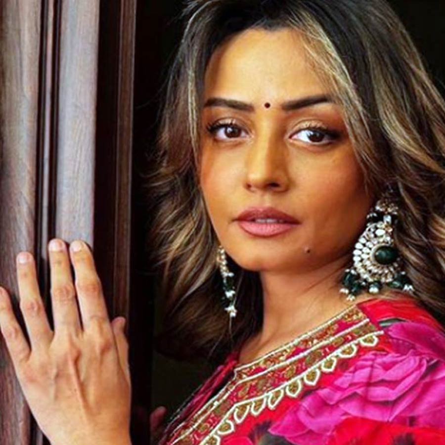 অভিনেত্রী তথা মডেল নম্রতা শিরোদকরের বোন হন শিল্পা। ২০২৪ সালে ‘বিগ বস্’ রিয়্যালিটি শোয়ের অষ্টাদশ সিজ়নে প্রতিযোগী হিসাবে অংশগ্রহণ করেন তিনি। সেই অনুষ্ঠানের মাধ্যমে আবার নতুন করে দর্শকের নজর কাড়েন তিনি। শোয়ের অন্তিম পর্ব পর্যন্ত টিকে ছিলেন অভিনেত্রী। ‘বিগ বস্’-এর ঘরে থাকাকালীন প্রায় ১৩-১৪ কেজি ওজন কমিয়ে ফেলেছিলেন বলে দাবি শিল্পার।