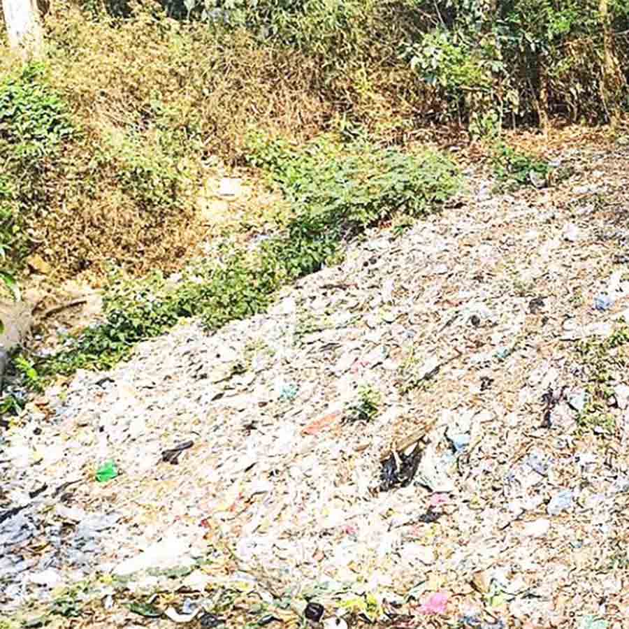 Green Tribunal slammed Pollution control board and Forest Department regarding pollution at Sonajhuri