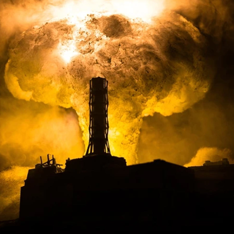 Mysterious fungus of Chernobyl