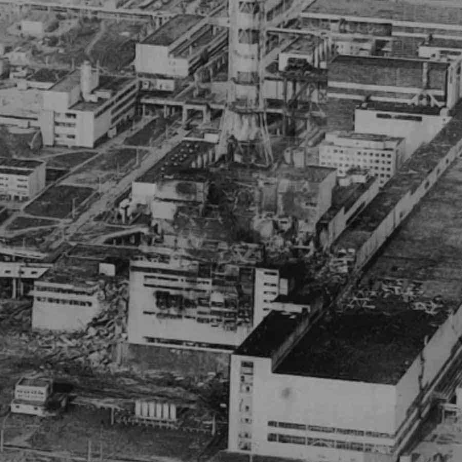 Mysterious fungus of Chernobyl