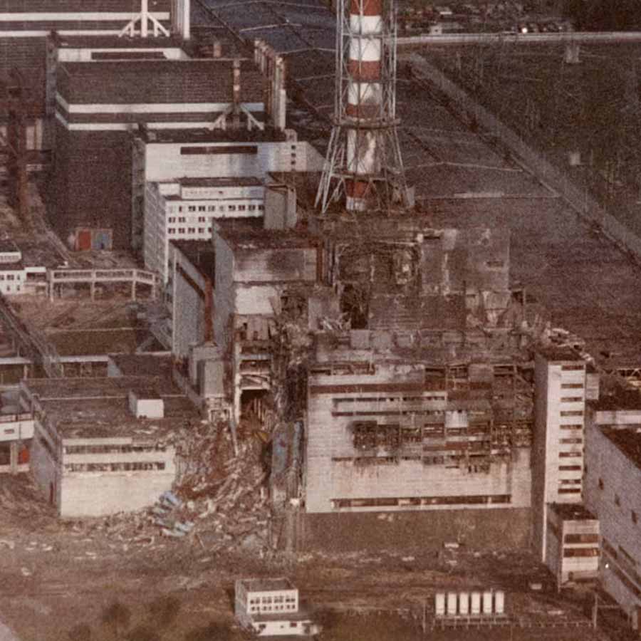 Mysterious fungus of Chernobyl