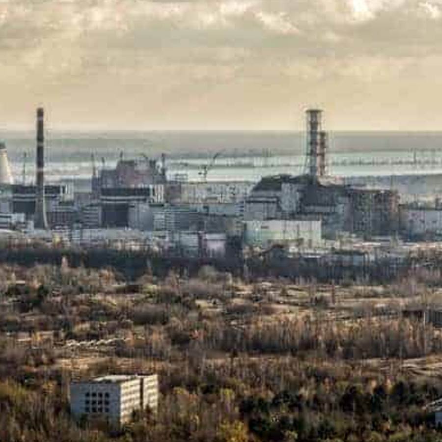 Mysterious fungus of Chernobyl