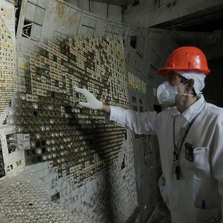 Mysterious fungus of Chernobyl