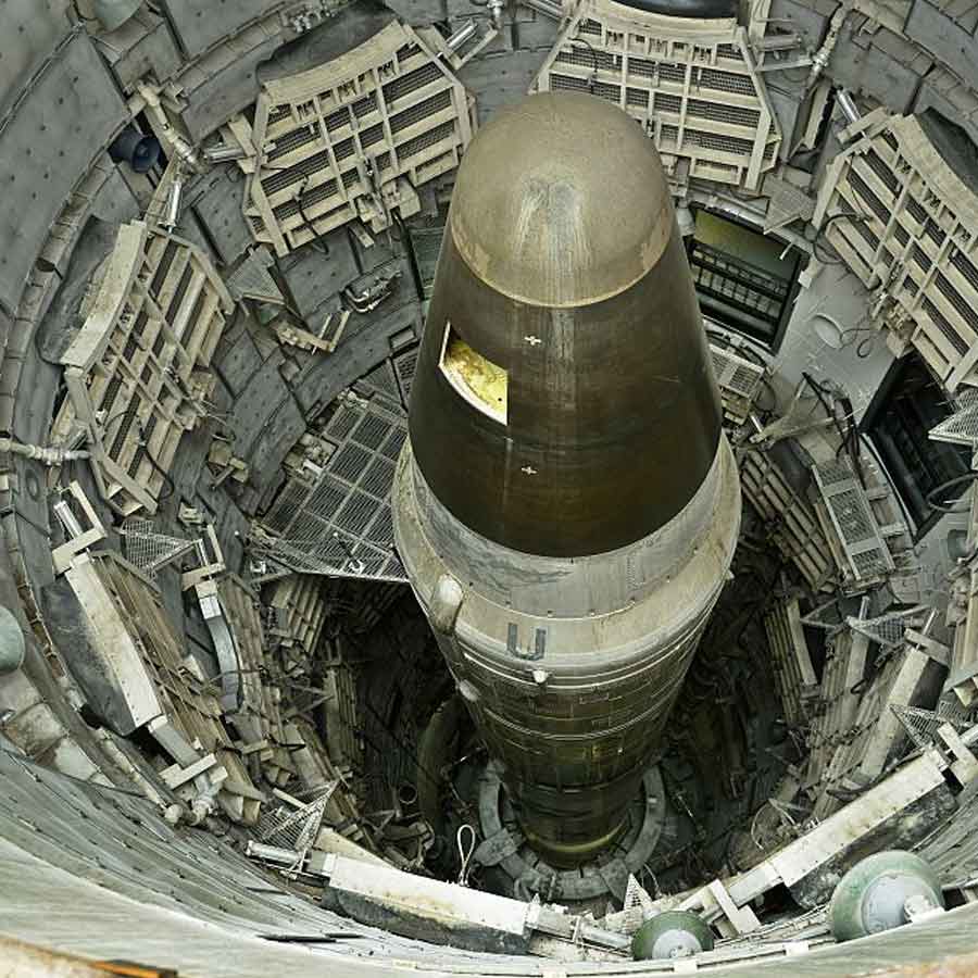 Mysterious fungus of Chernobyl