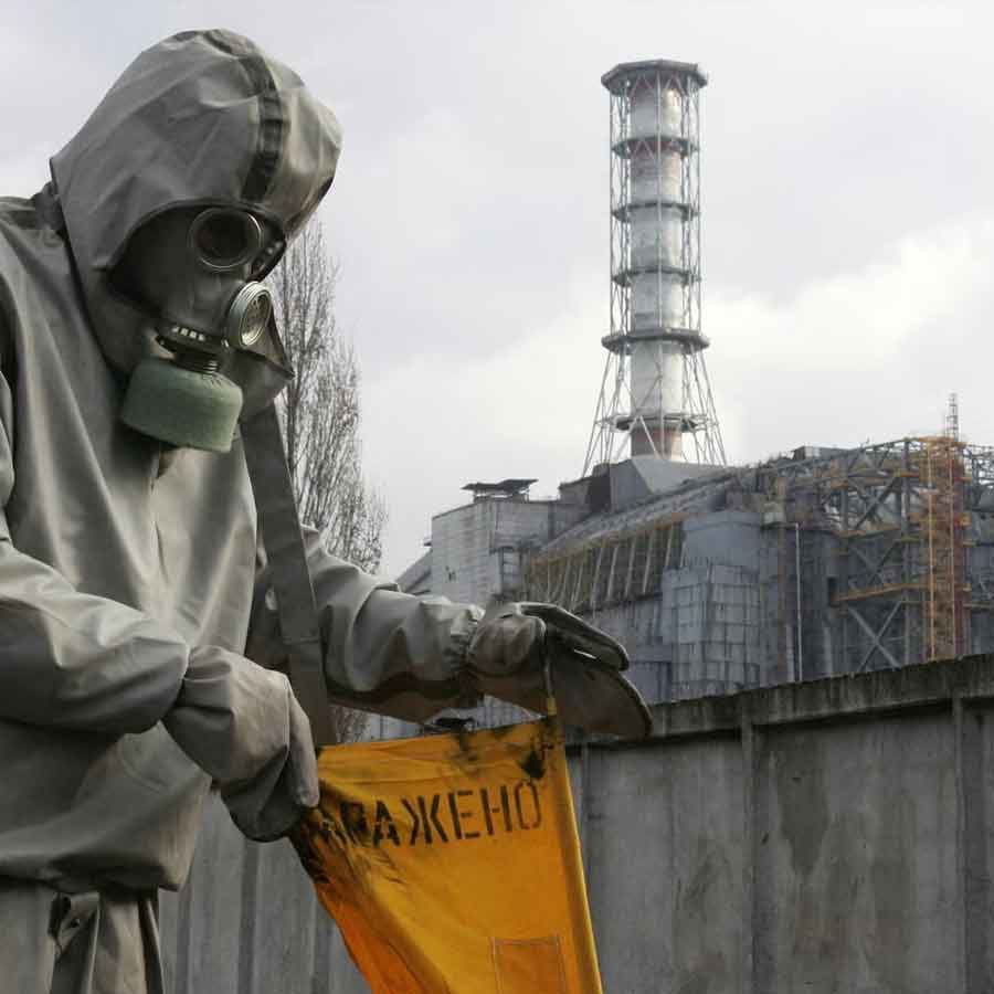 Mysterious fungus of Chernobyl