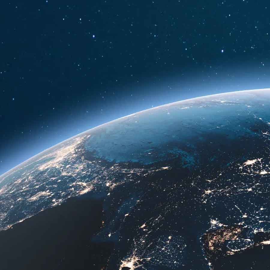 Mysterious fungus of Chernobyl