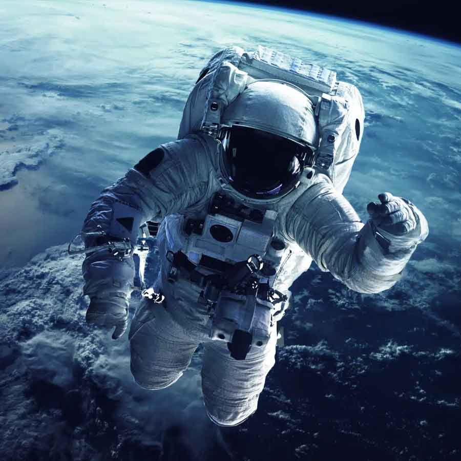 Mysterious fungus of Chernobyl