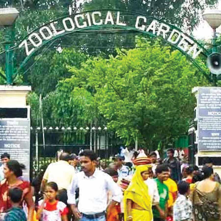 321 animals missing overnight from Alipore zoo case filed in Calcutta highcourt dgtl
