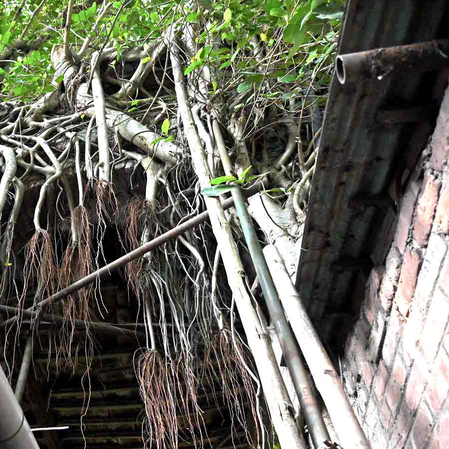 Clive’s country house