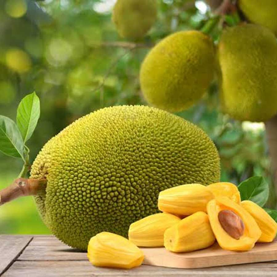 প্রতীকী ছবি।