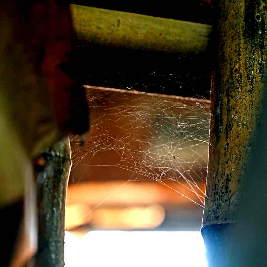 Clive’s country house