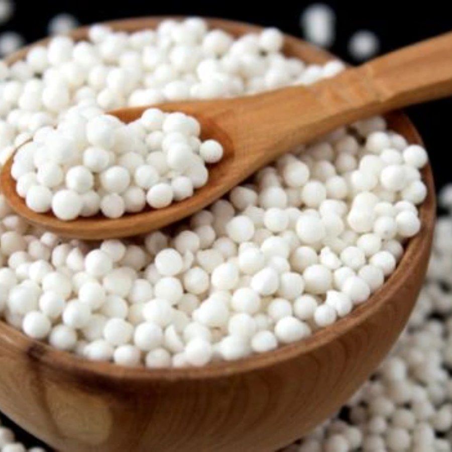 Sabudana Kheer Recipe for Diwali 2025 to break fasting dgtl