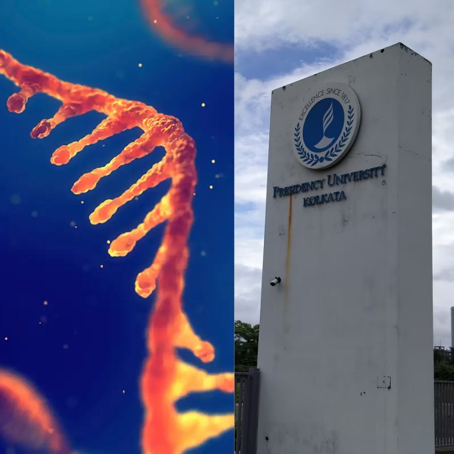 Presidency University needs researchers.