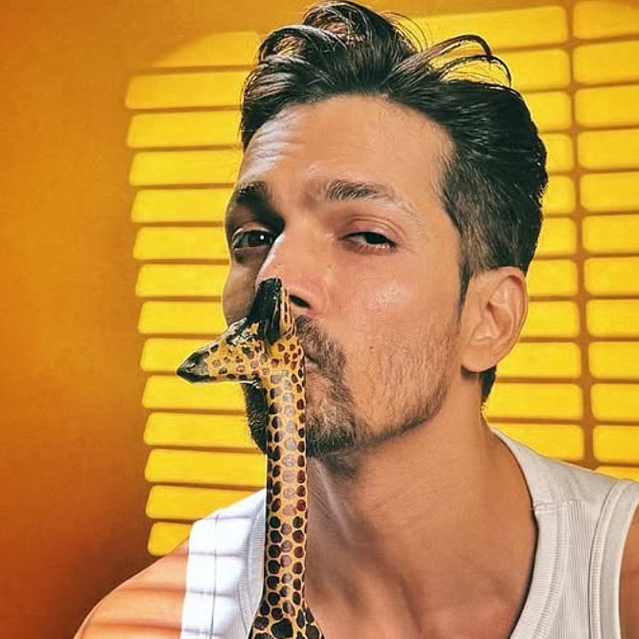 নিজেকে দায়ী করে হর্ষবর্ধন সাক্ষাৎকারে বলেছিলেন, ‘‘আমার মনে হয় জিনগত কোনও সমস্যা রয়েছে। ‘রং দে বসন্তি’ ছবিতে একটি সংলাপ ছিল— ‘আজাদি মেরি দুলহন হ্যায়’ (বাংলায় যার অর্থ, ‘স্বাধীনতাই আমার জীবনসঙ্গিনী’)। আমি এখন বলতে পারি, সিনেমাই আমার জীবনসঙ্গিনী।’’