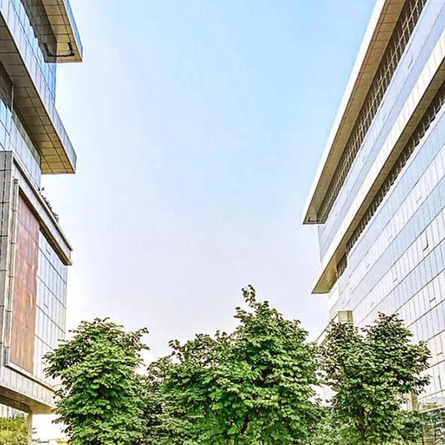 The question arises whether the arrival of foreign universities alone will improve the quality of higher education in India