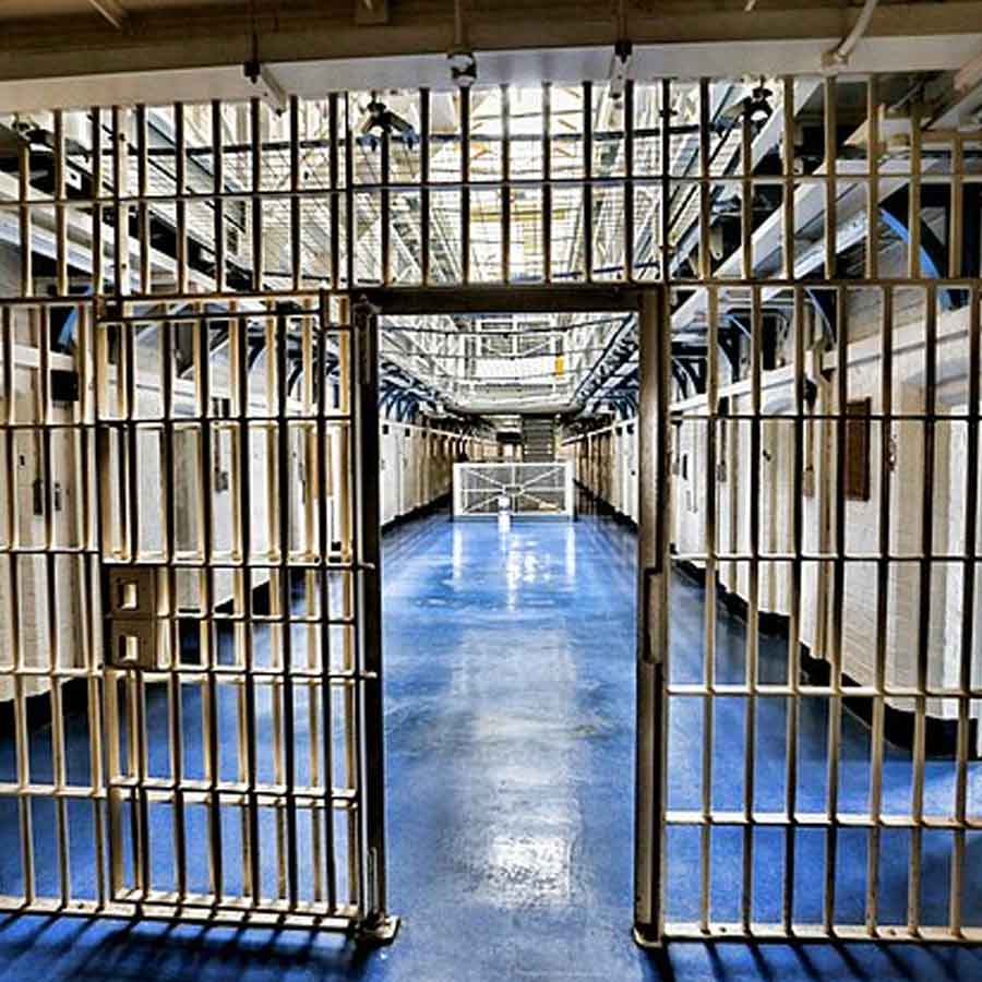 All need to know about Leo Sande Gasnier, Norwegian youth who changed himself while staying in Tihar Jail for five years