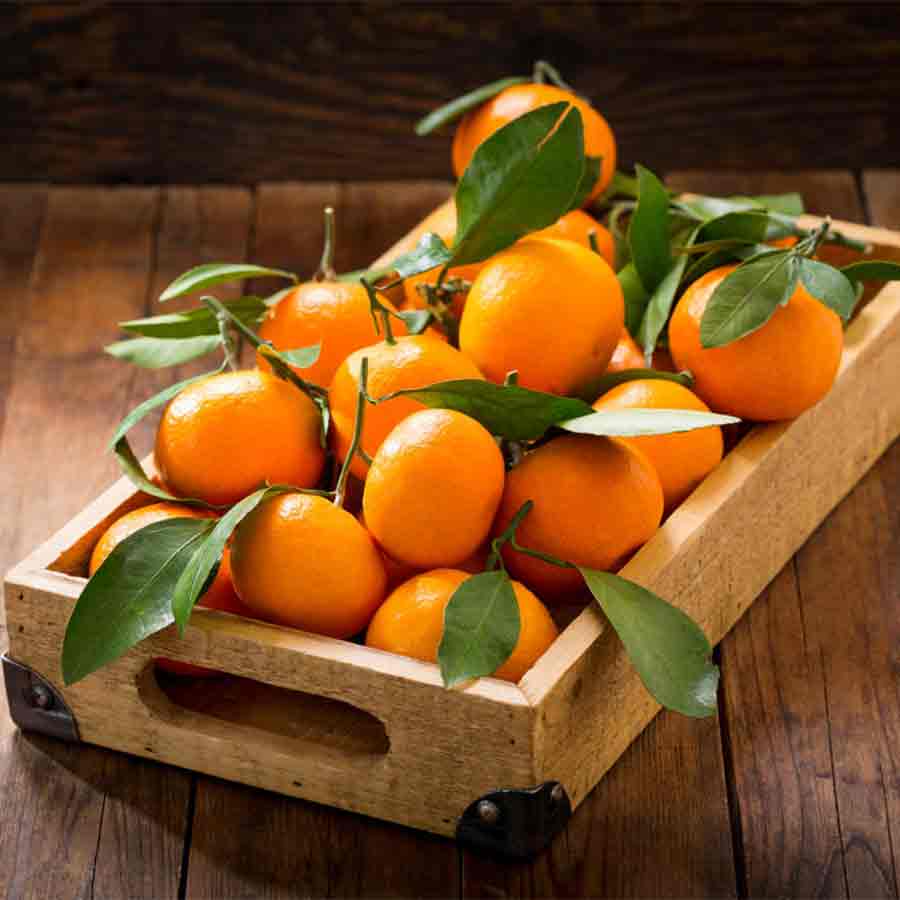 Health Benefits of citrus fruit Malta