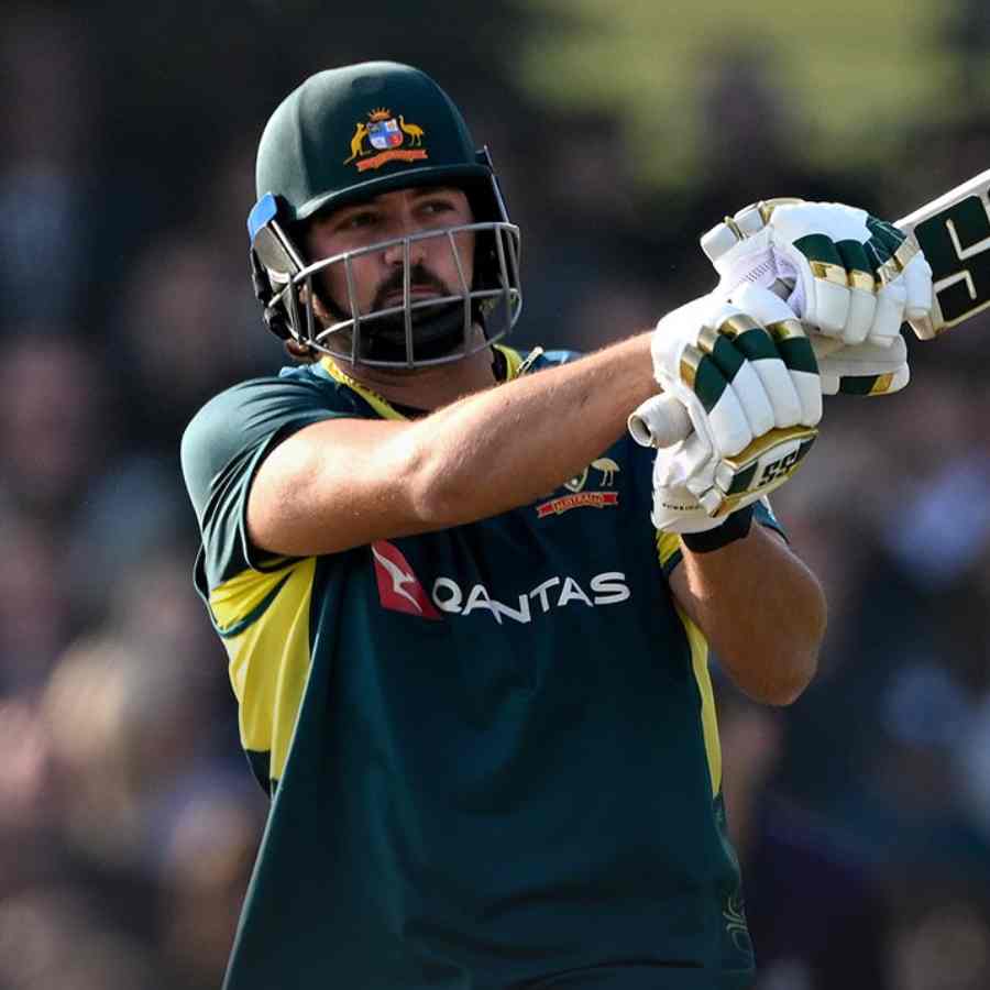 cricket